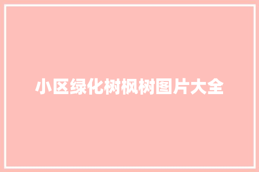 小区绿化树枫树图片大全