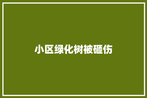 小区绿化树被砸伤
