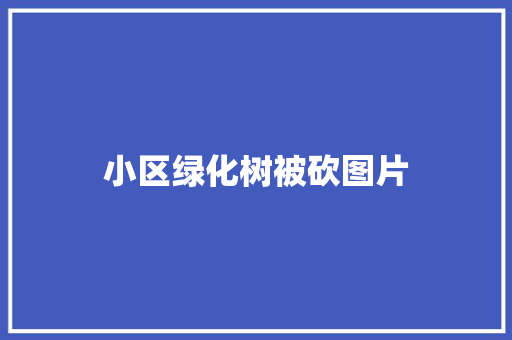 小区绿化树被砍图片