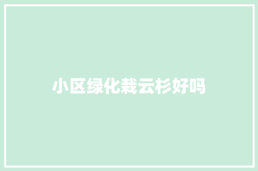 小区绿化栽云杉好吗
