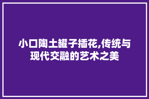 小口陶土罐子插花,传统与现代交融的艺术之美