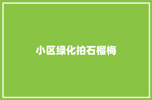 小区绿化拍石榴梅