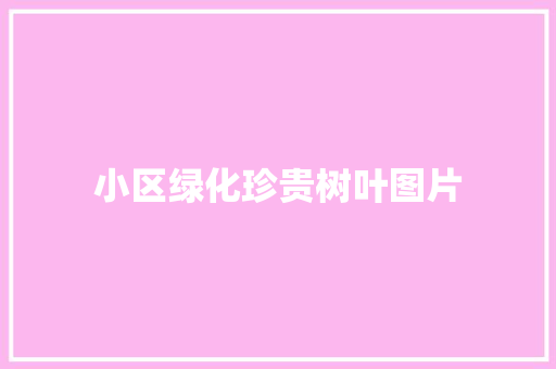 小区绿化珍贵树叶图片