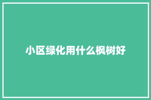 小区绿化用什么枫树好