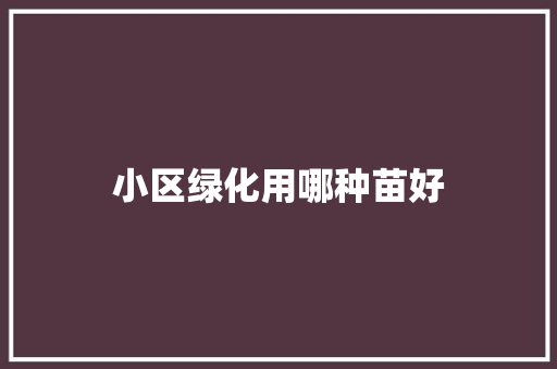 小区绿化用哪种苗好