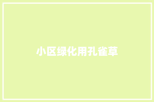 小区绿化用孔雀草