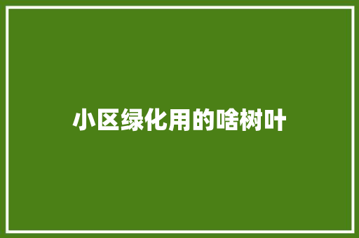 小区绿化用的啥树叶