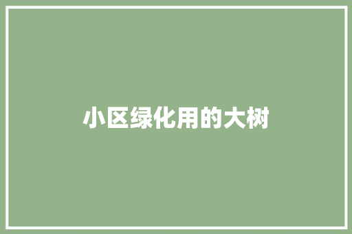 小区绿化用的大树