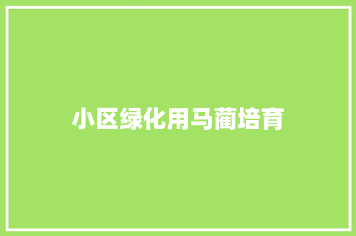 小区绿化用马蔺培育