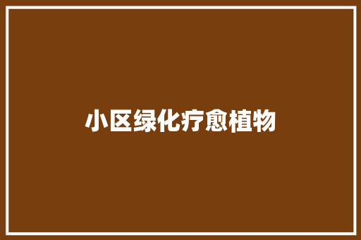 小区绿化疗愈植物