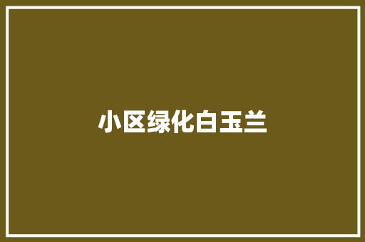 小区绿化白玉兰