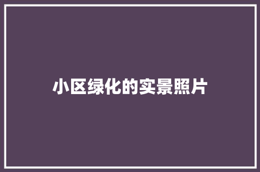 小区绿化的实景照片