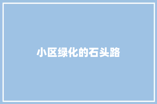 小区绿化的石头路