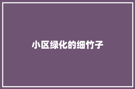 小区绿化的细竹子
