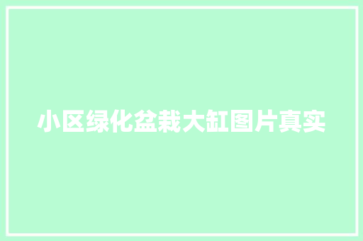 小区绿化盆栽大缸图片真实