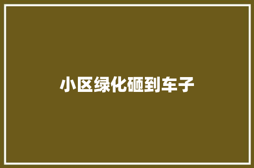 小区绿化砸到车子
