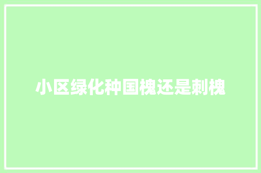 小区绿化种国槐还是刺槐