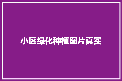 小区绿化种植图片真实