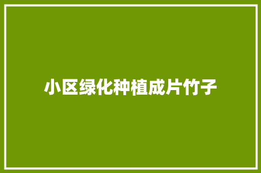 小区绿化种植成片竹子