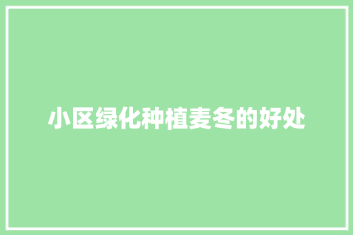 小区绿化种植麦冬的好处