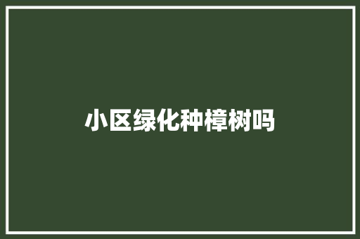 小区绿化种樟树吗