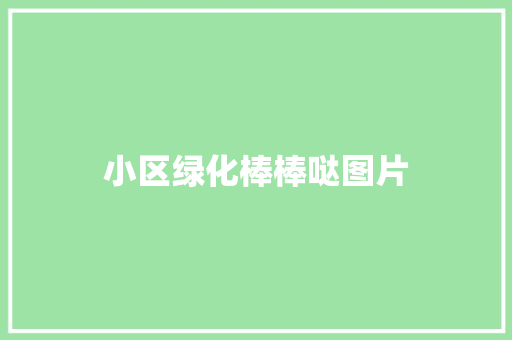 小区绿化棒棒哒图片