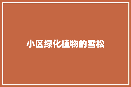 小区绿化植物的雪松