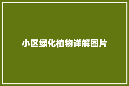 小区绿化植物详解图片