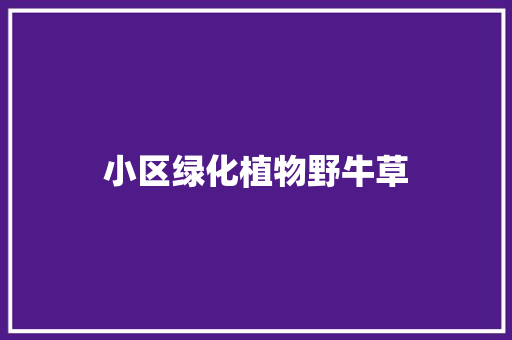 小区绿化植物野牛草