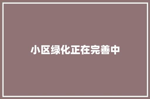 小区绿化正在完善中