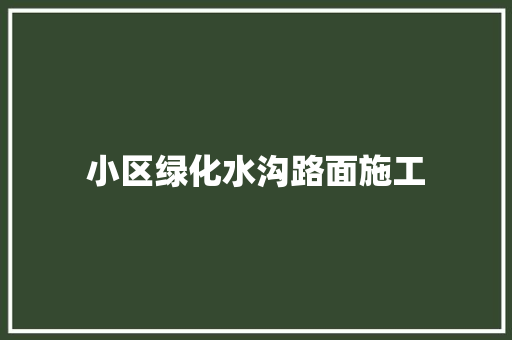 小区绿化水沟路面施工