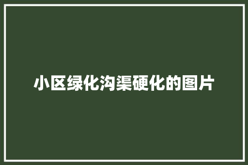 小区绿化沟渠硬化的图片
