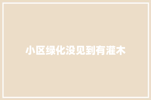 小区绿化没见到有灌木