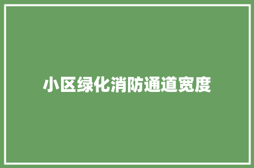 小区绿化消防通道宽度