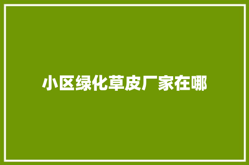 小区绿化草皮厂家在哪