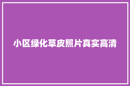 小区绿化草皮照片真实高清