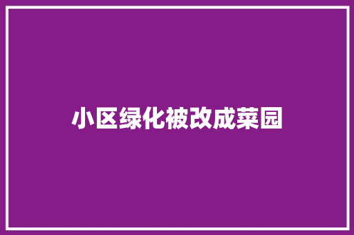 小区绿化被改成菜园