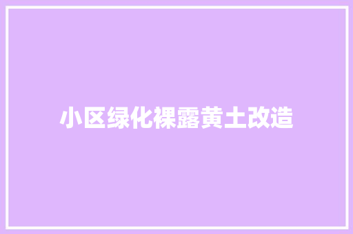 小区绿化裸露黄土改造