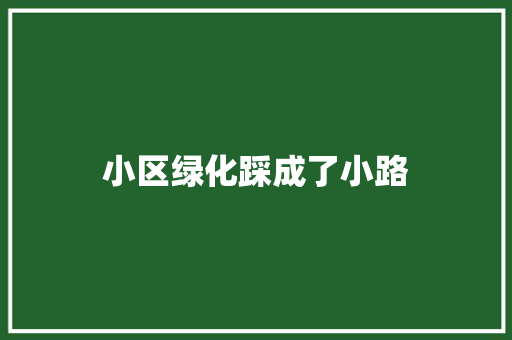 小区绿化踩成了小路