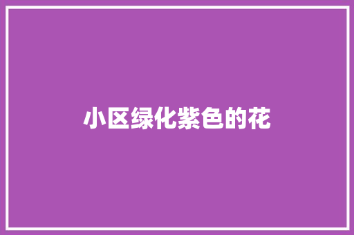 小区绿化紫色的花