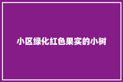 小区绿化红色果实的小树