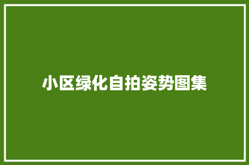 小区绿化自拍姿势图集