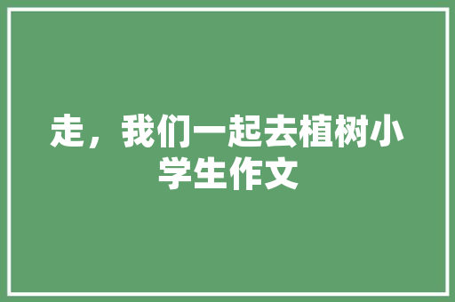 小区绿化花卉摆放造型