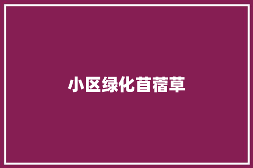小区绿化苜蓿草