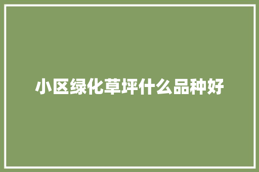 小区绿化草坪什么品种好