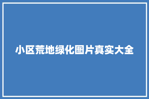 小区荒地绿化图片真实大全