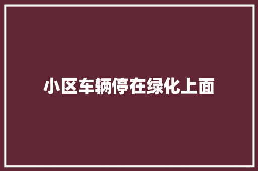 小区车辆停在绿化上面