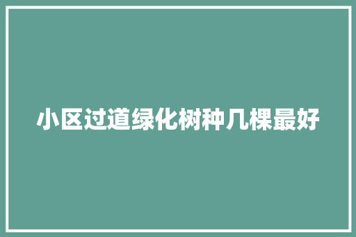 小区过道绿化树种几棵最好