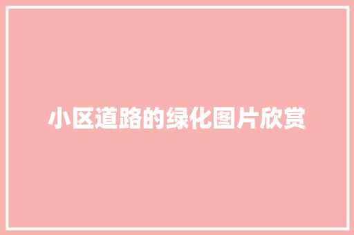 小区道路的绿化图片欣赏