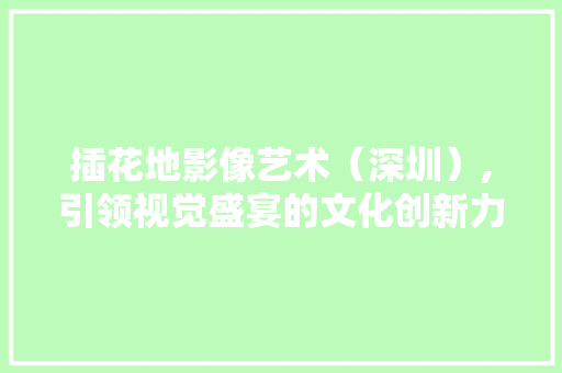 插花地影像艺术（深圳）,引领视觉盛宴的文化创新力量